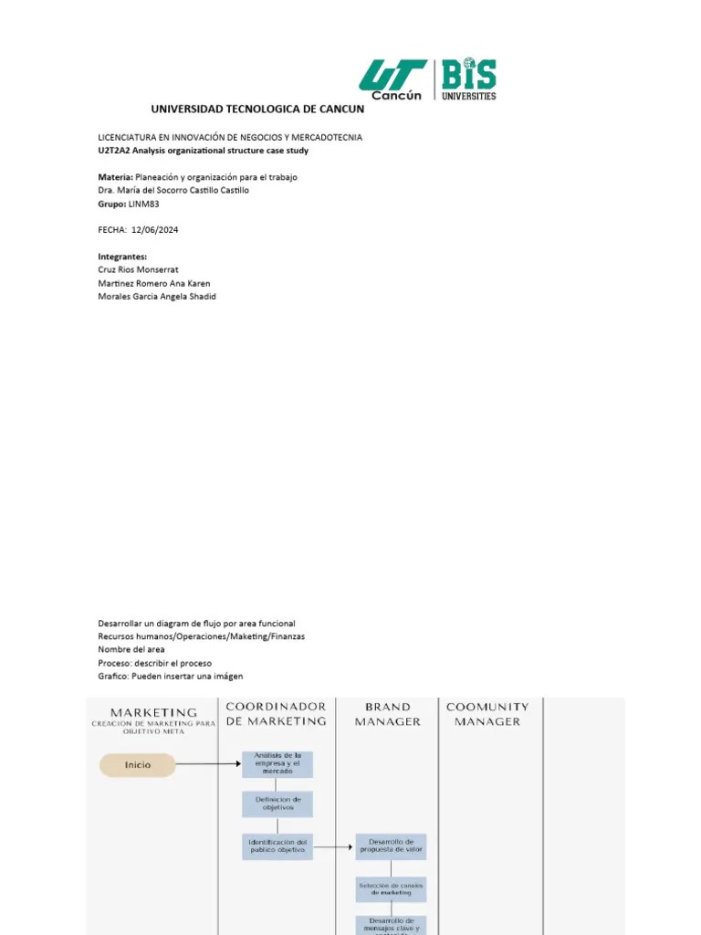 U2T2A2 Analysis Organizational Structure Case Study (Team) FINAL PDF