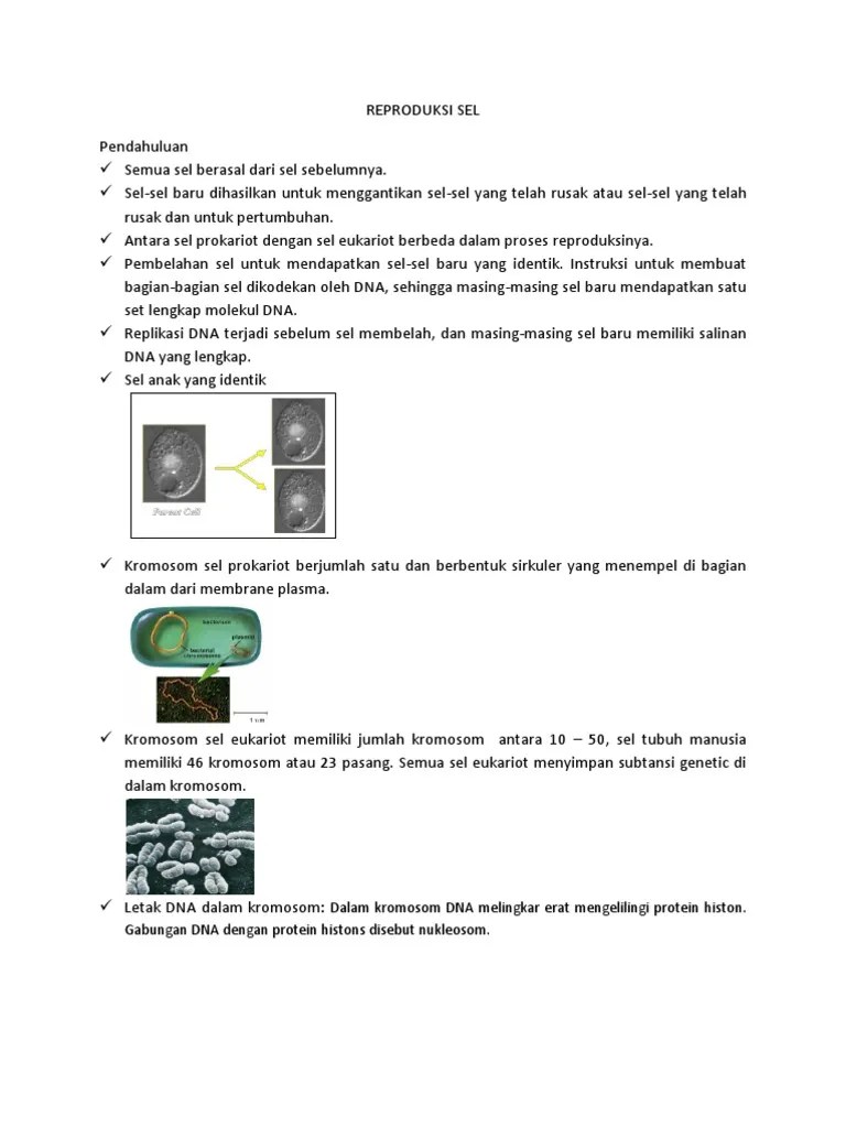 Catatanreproduksisel