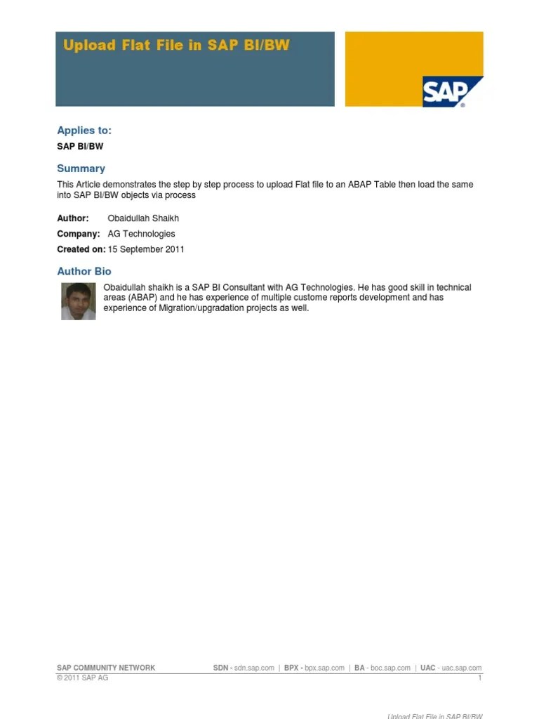 Upload Flat File in SAP BI BW PDF