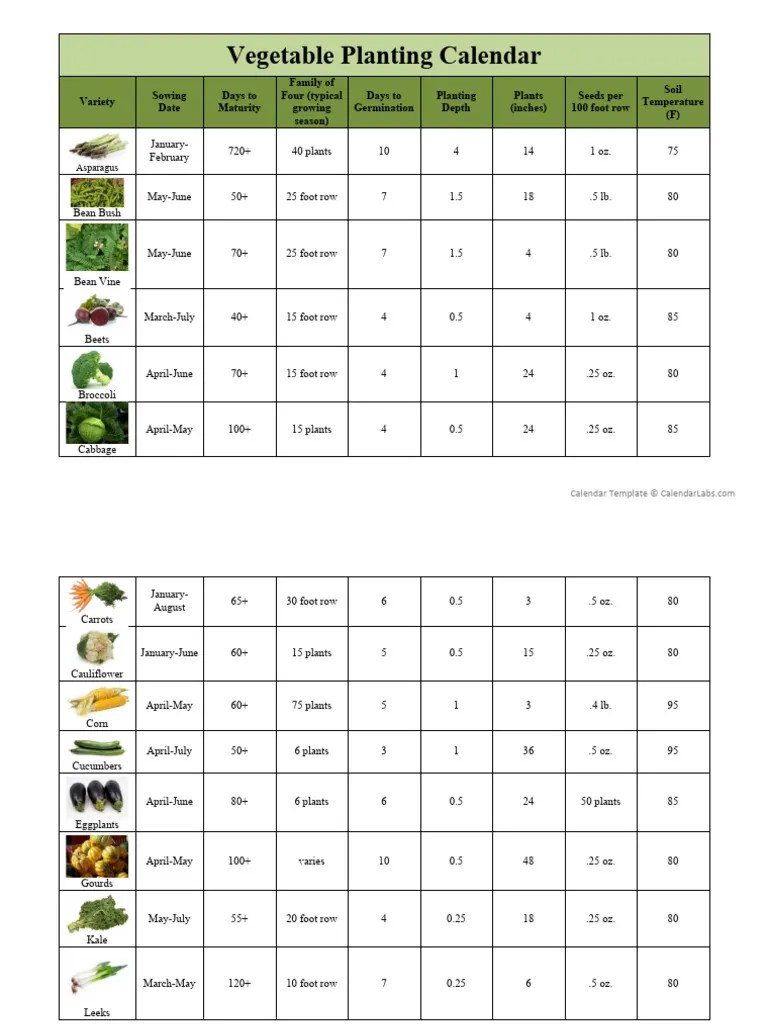 Vegetable Planting Calendar PDF Vegetables Bean
