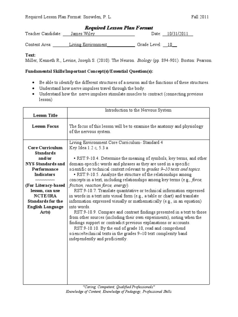 Nervous System Lesson Plan Neuron Axon
