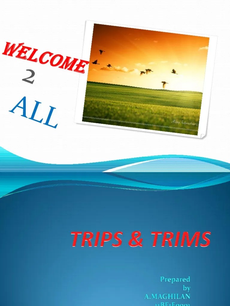 Trips & Trims PDF Trips Agreement Intellectual Property