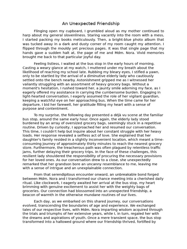 An Unexpected Friendship PDF