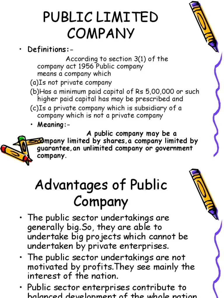 Advantages and Disadvantages of Public Company State Owned Enterprise