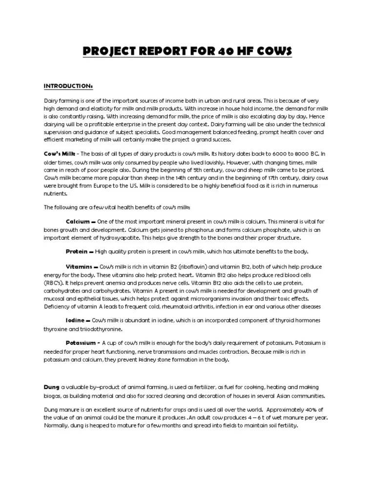 Dairy Project Report Calf Dairy Farming