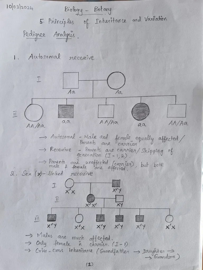 Pedigree Analysis Solved Examples PDF