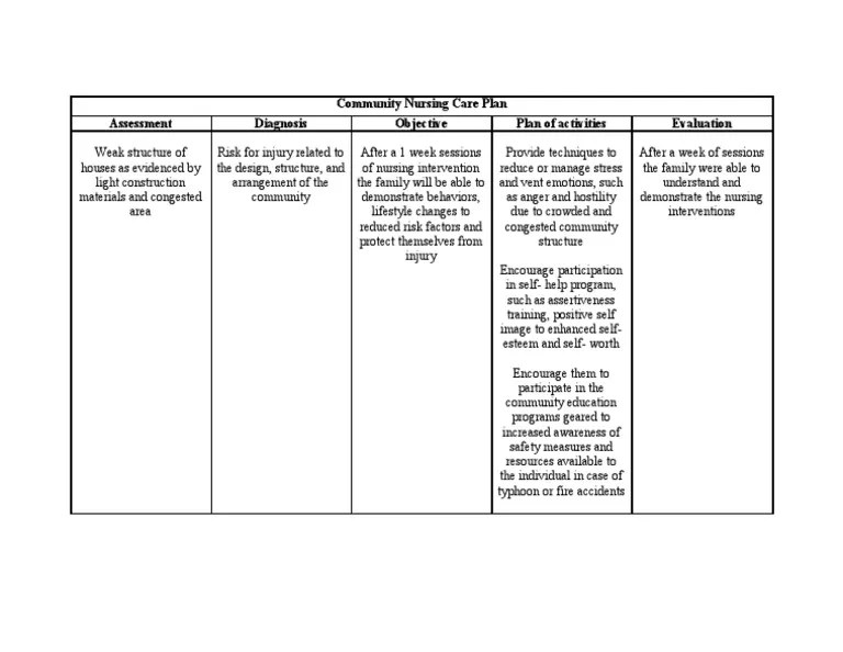 Community Nursing Care Plan 2 Risk Nursing