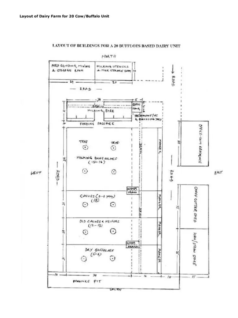 Layout of Dairy Farm For 20 Cow PDF Dairy Farming Milk