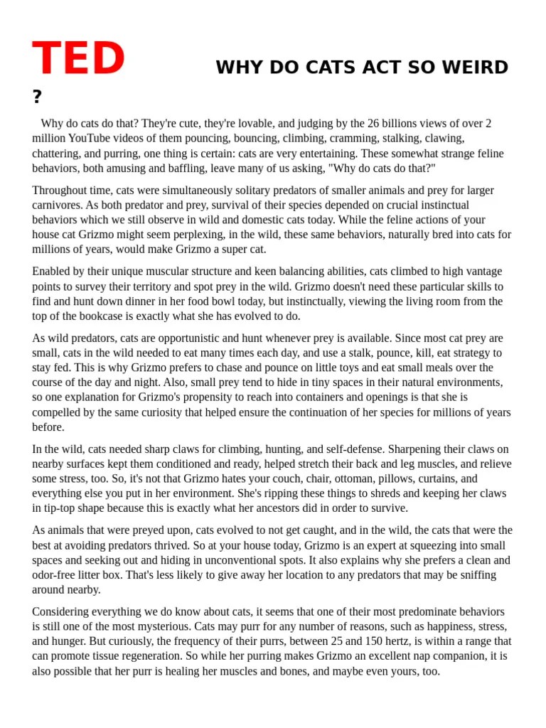 Ted Why Do Cats Act So Weird PDF Cats Predation