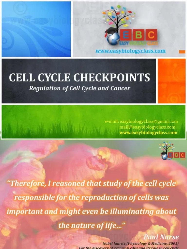 CellCycleCheckpointsPPTbyEasybiologyclass PDF