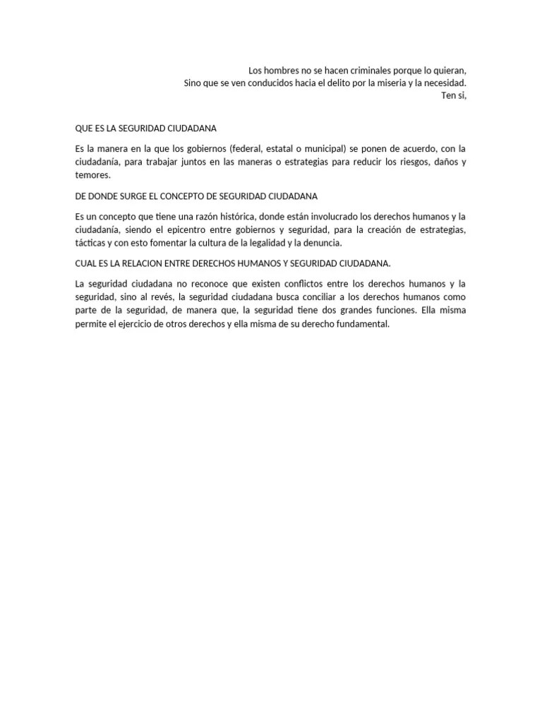 Que Es La Seguridad Ciudadana PDF