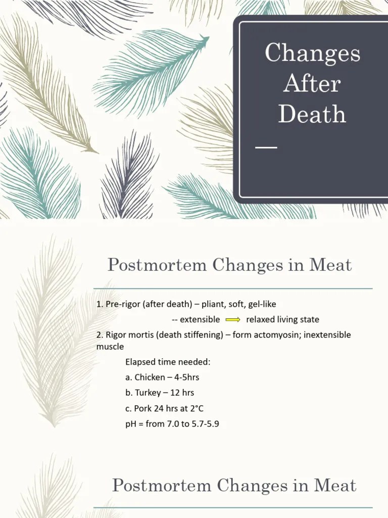 Changes After Death PDF