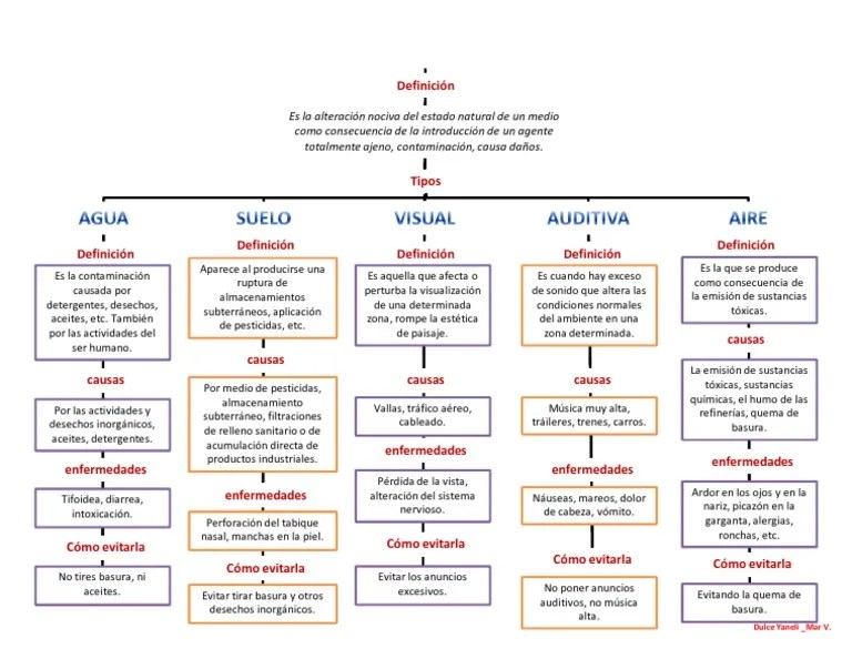 mapa conceptual contaminación