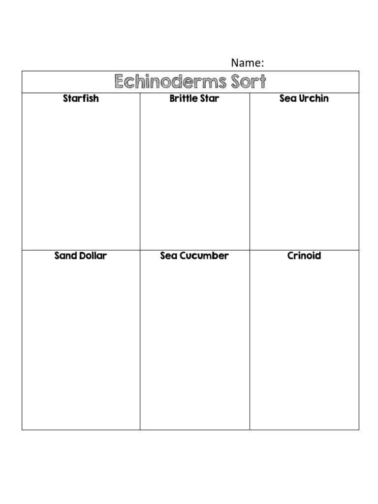 Echinoderms Worksheet 1 | PDF | Science & Mathematics