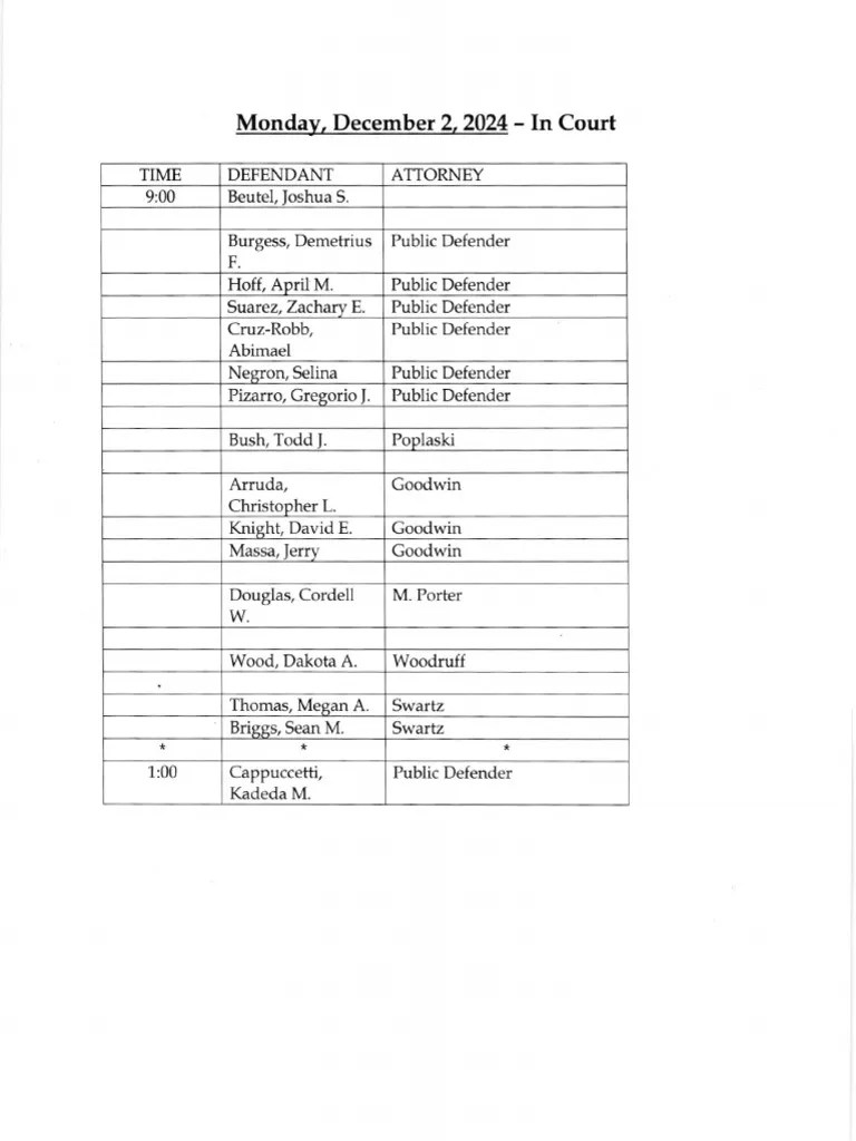 Court Schedule for December 2, 2024 PDF(07)
