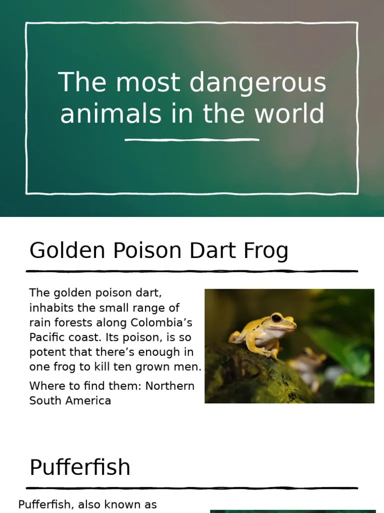 Most Dangerous Animals Worldwide Pdf
