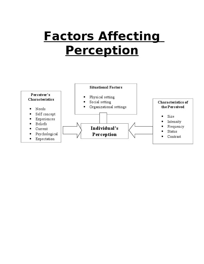 Factors Affecting Perception PDF