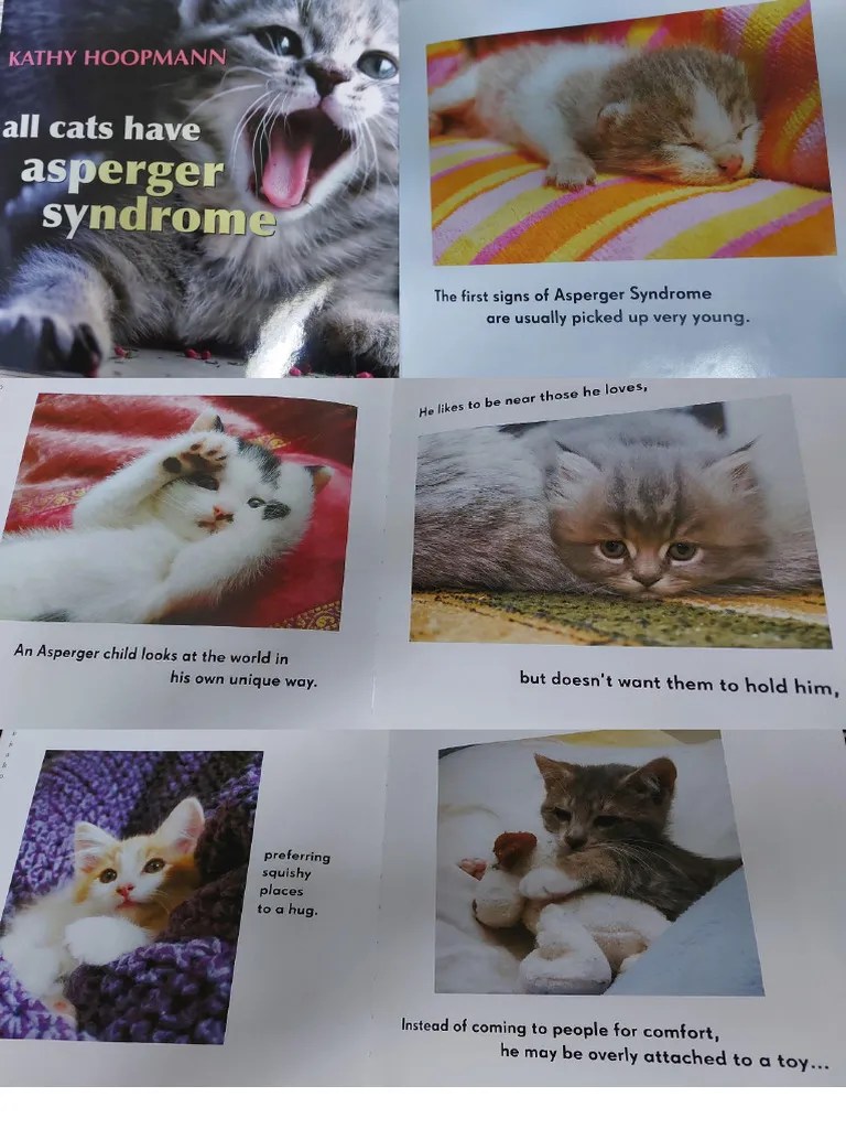 Kathy Hoopmann All Cats Have Asperger Syndrome PDF