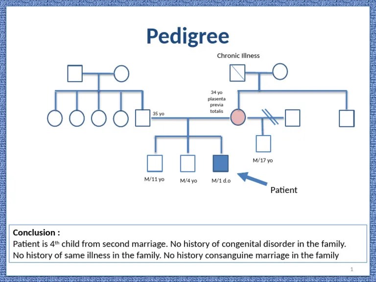Family Health and Ancestry Report PDF
