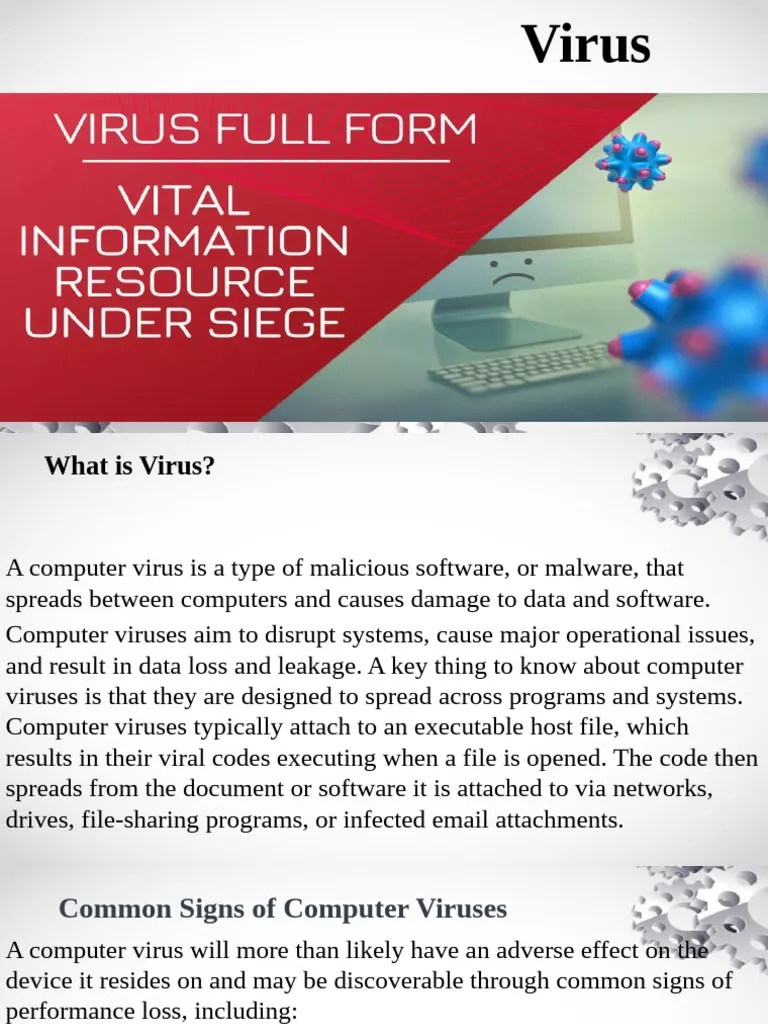 Computer Virus Warning Signs PDF