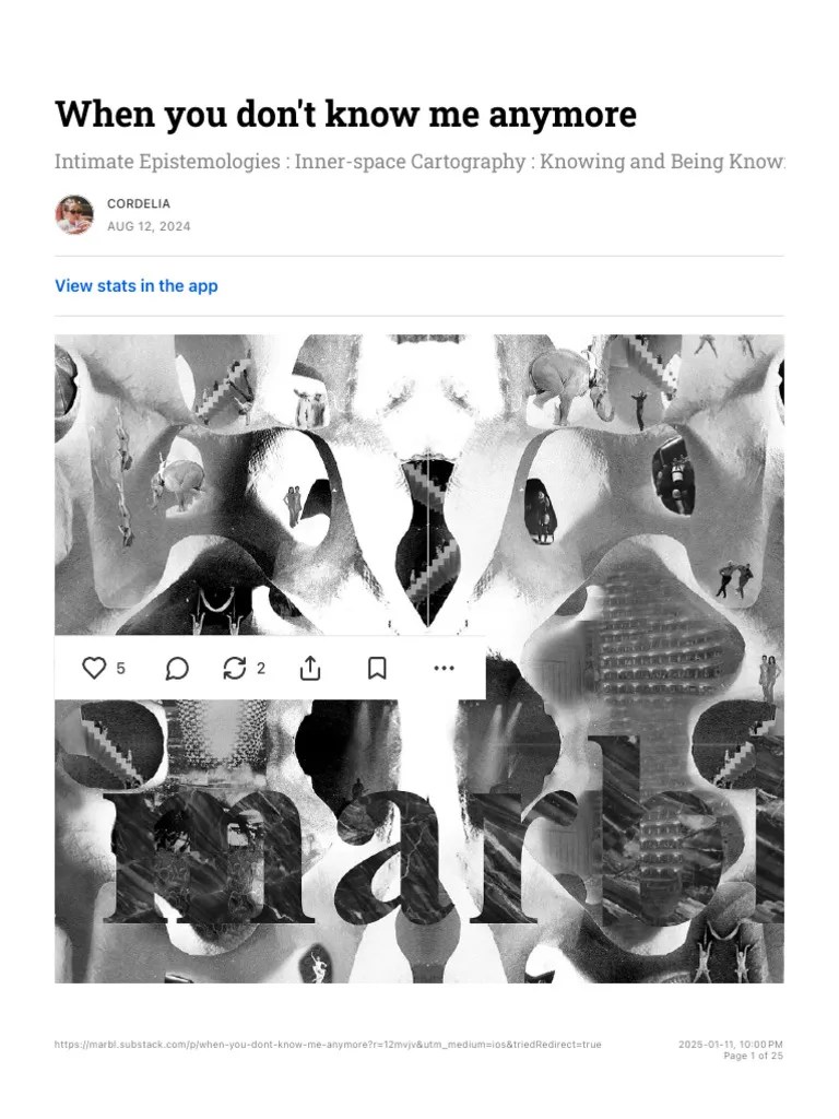 When You Don't Know Me Anymore by Cordelia Marbl PDF Experience