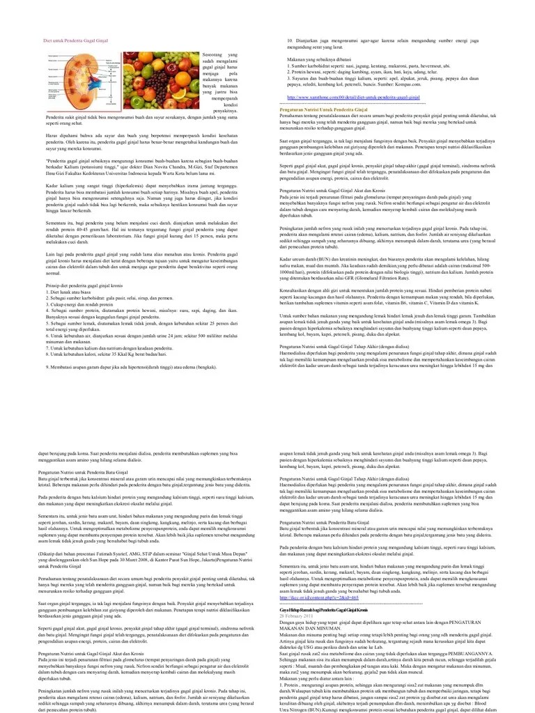 Diet Untuk Penderita Gagal Ginjal