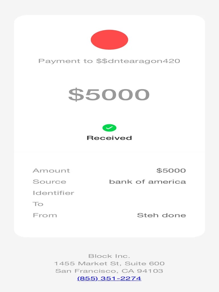 Fake Cash App Payment Screenshot Generator Top Info PDF(03)