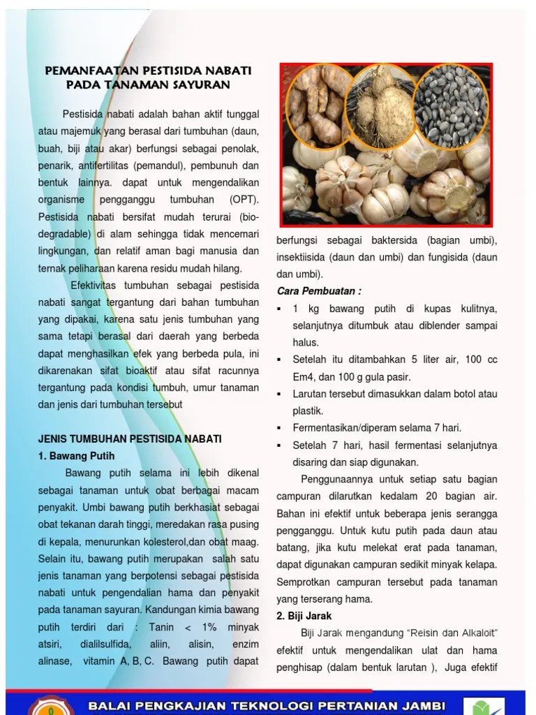 Kandungan Bawang Putih