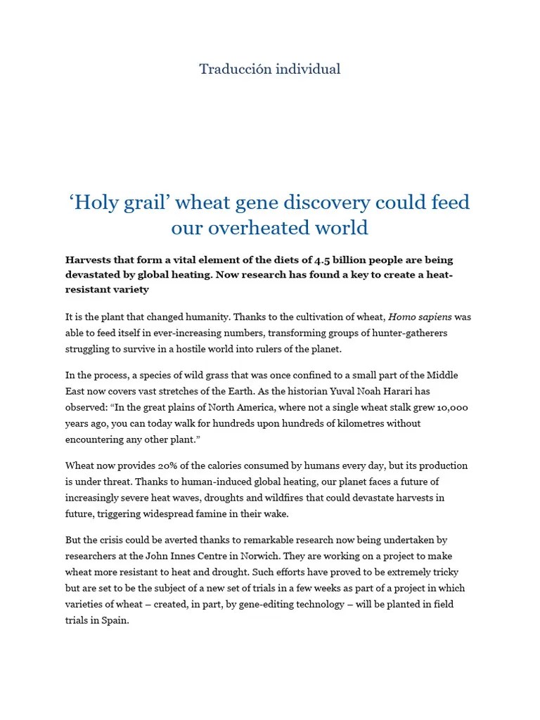 Texto Informativo Holy Grail PDF Wheat Agriculture