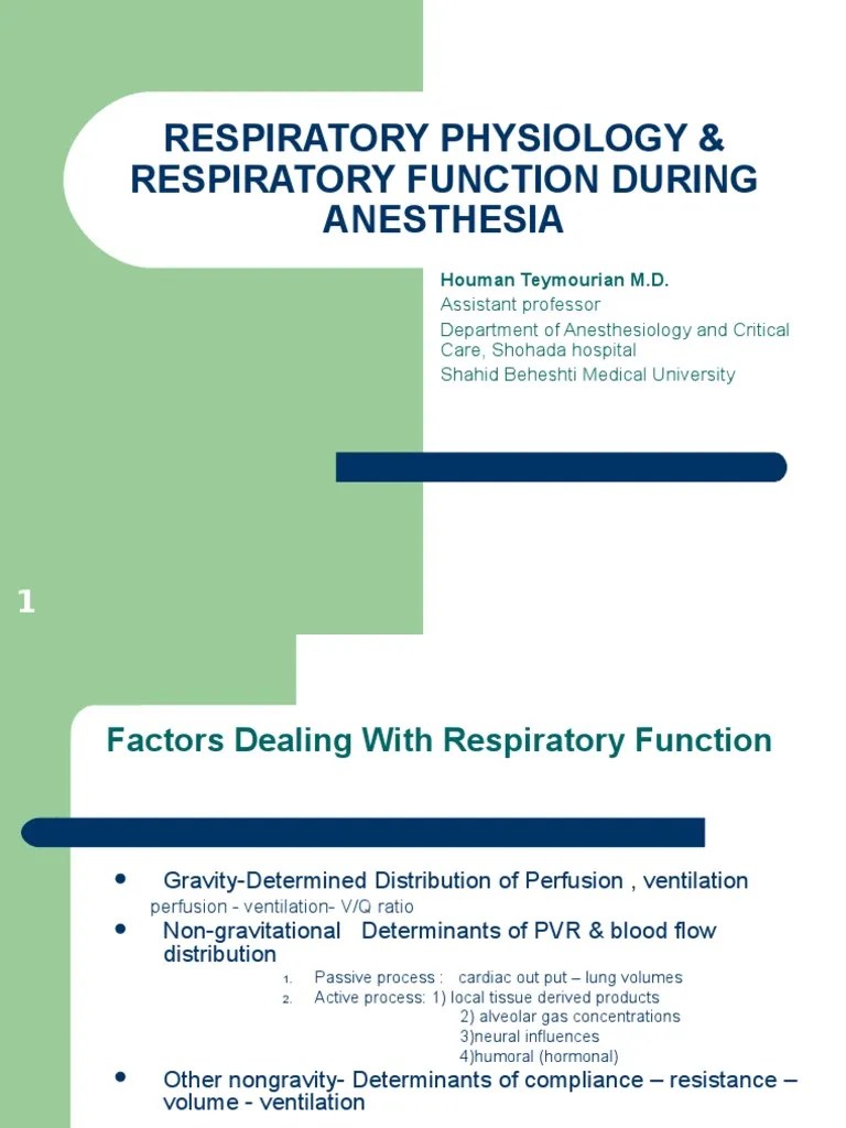 Respiratory Physiology & Respiratory Function During Anesthesia