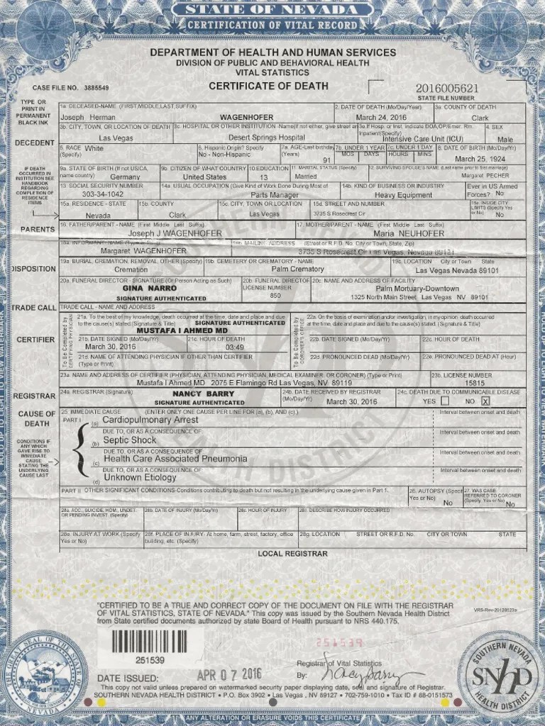 Death Certificate PDF
