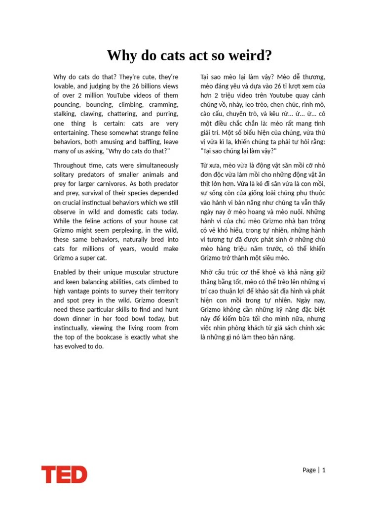 Why Do Cats Act So Weird PDF