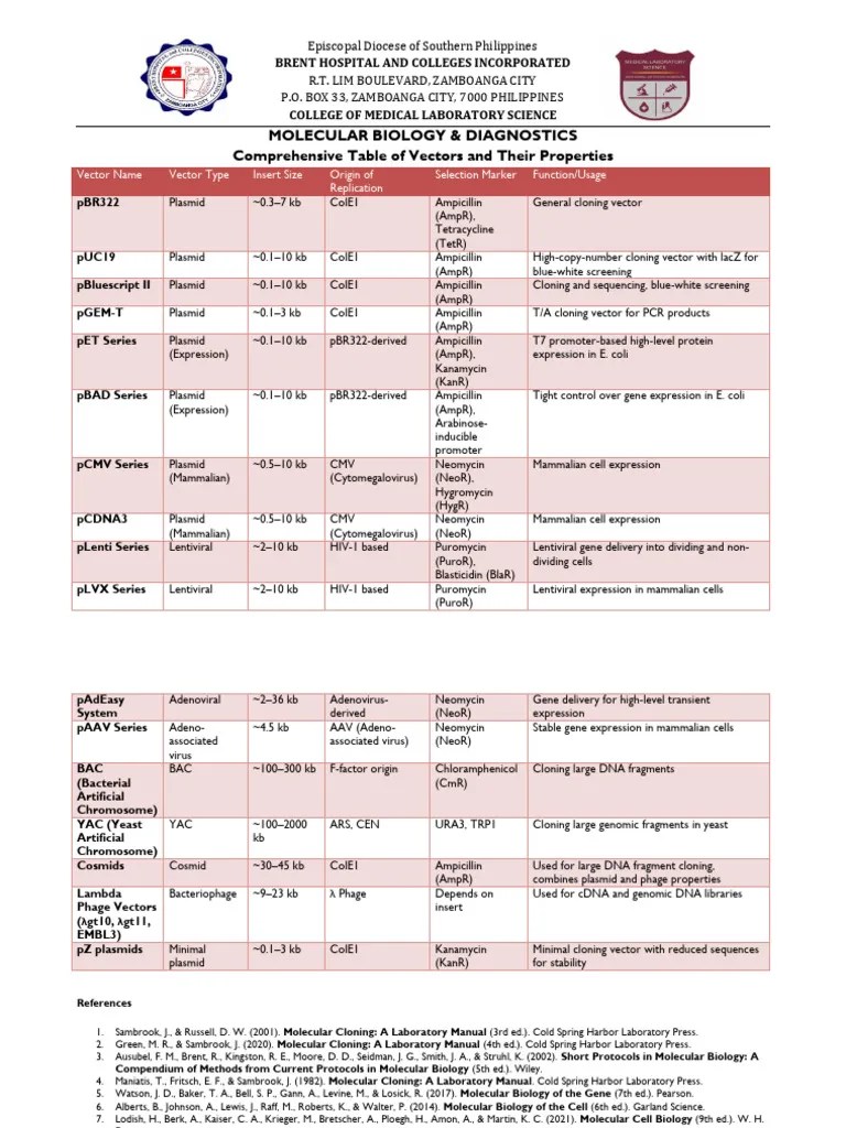 Comprehensive Cloning Vectors Guide Pdf Molecular Cloning Vector