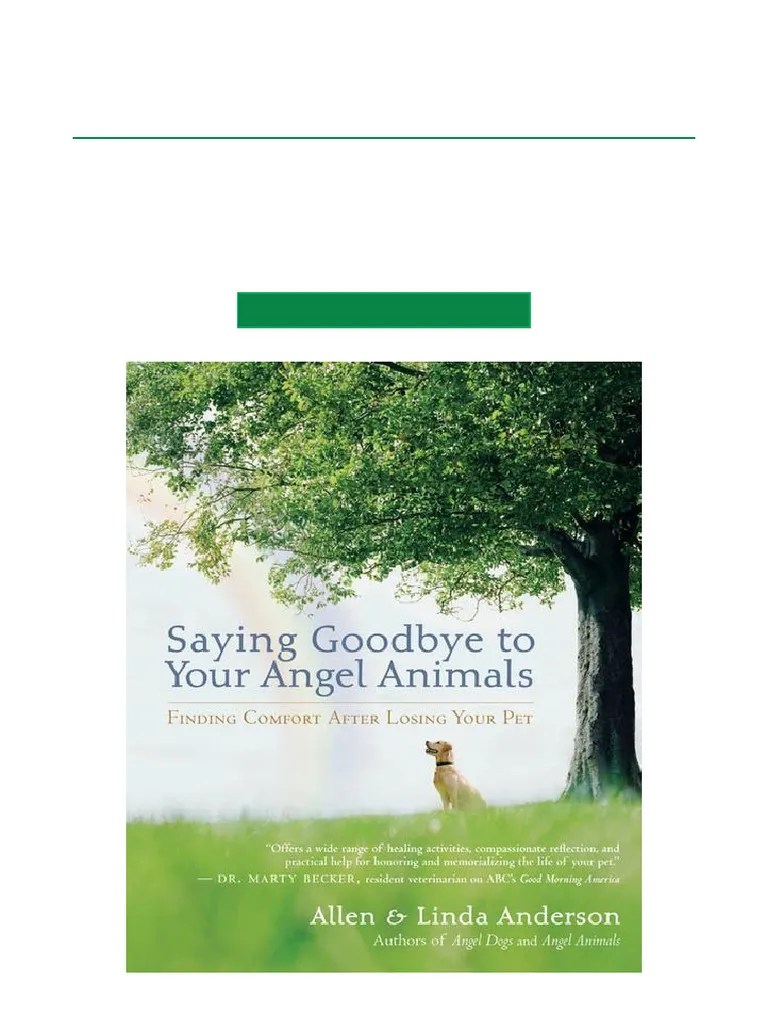 Saying Goodbye To Your Angel Animals Finding Comfort After Losing Your