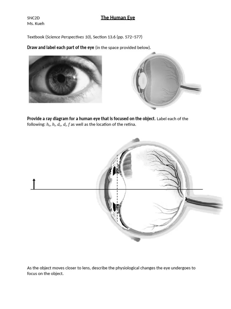 Lesson 13 E28093 The Human Eye Pdf