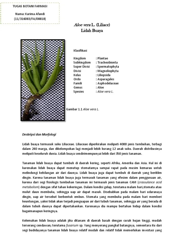 Aloe Vera L | PDF