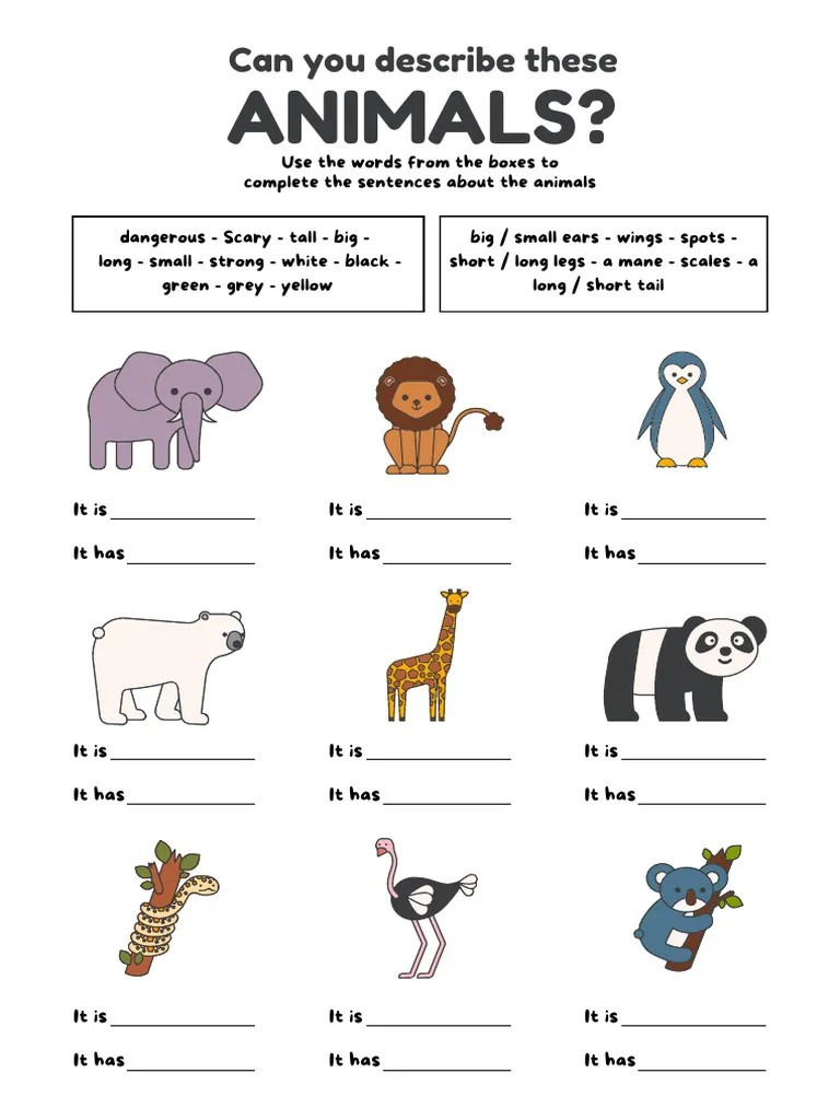 Colorful Describe The Animals Worksheet PDF