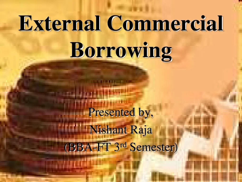 External Commercial Borrowing PDF European Central Bank