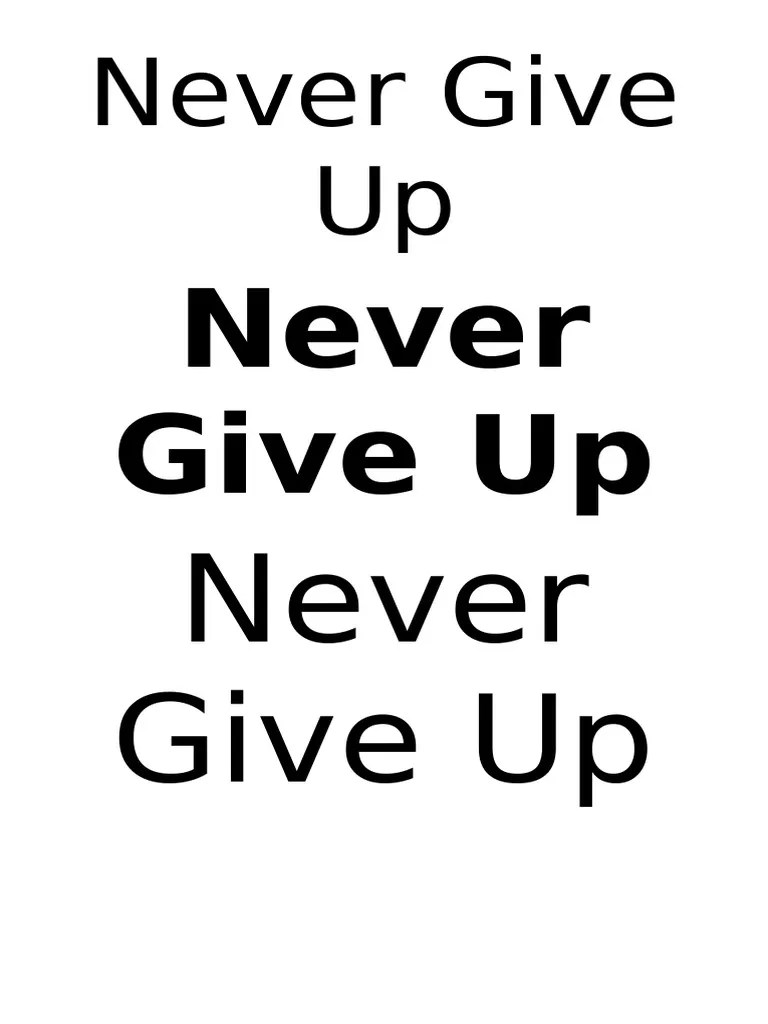 Never Give Up PDF