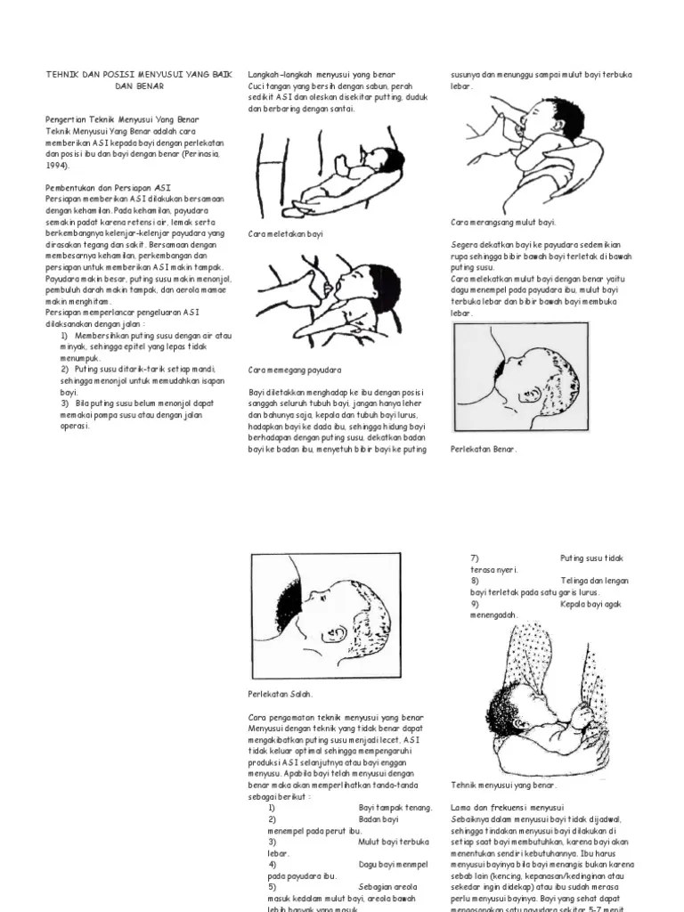 10. Leaflet Posisi Menyusui Yang Baik Dan Benar