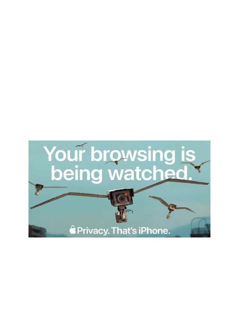 Browsing Being Watched PDF