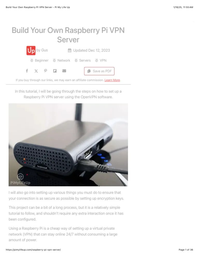 Raspberry Pi Vpn Server Setup Guide Pdf Domain Name System Port