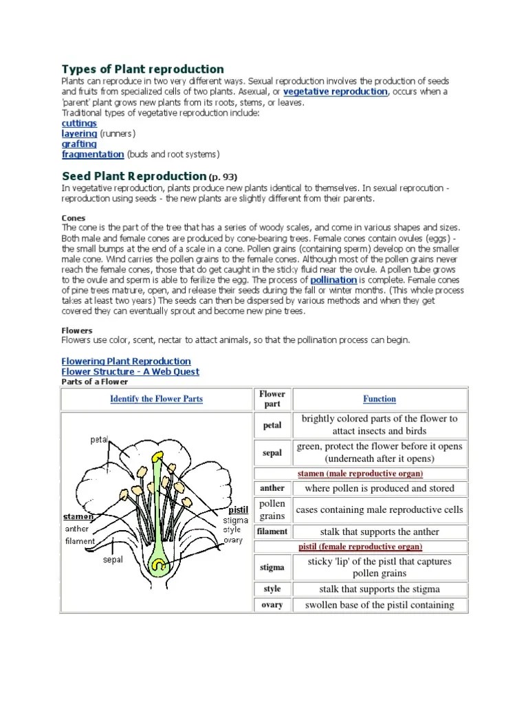 Types of Plant Reproduction Sexual Reproduction Plant Reproduction