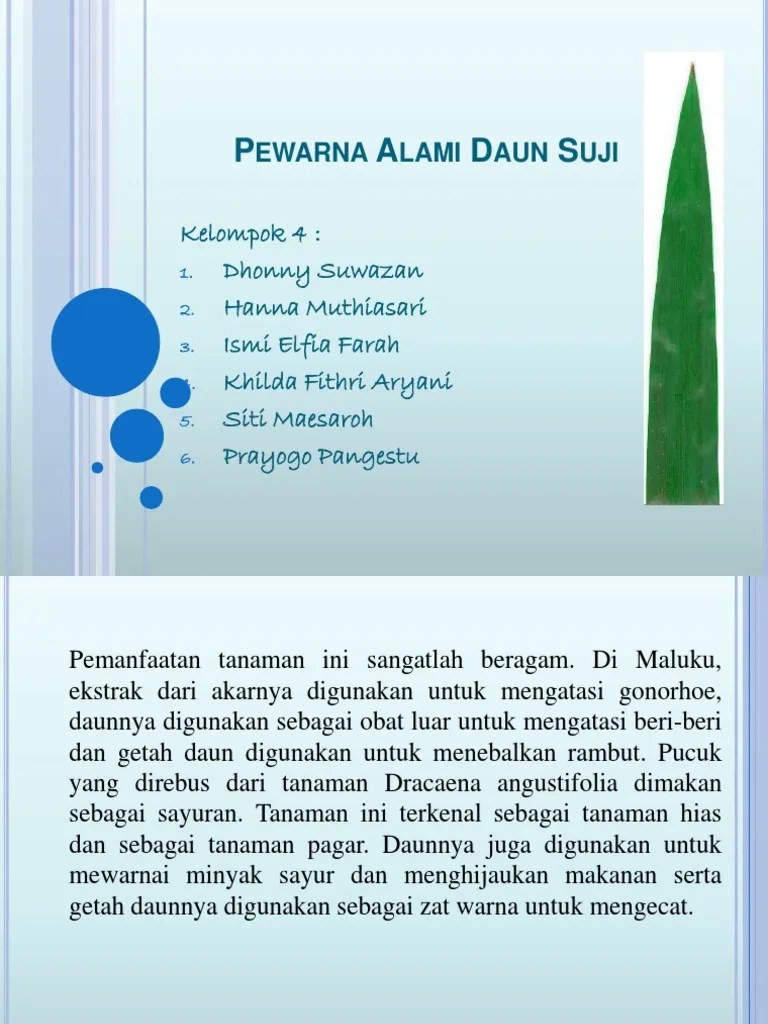 Pewarna Alami Daun Suji