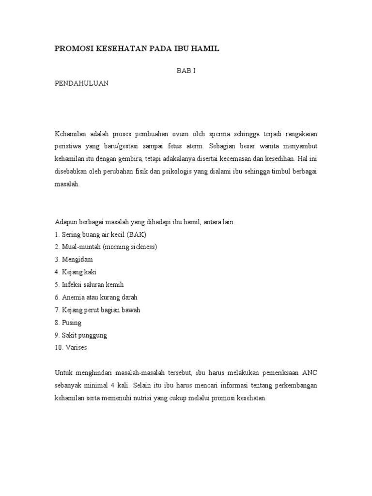 Makalah Promkes Ibu Hamil