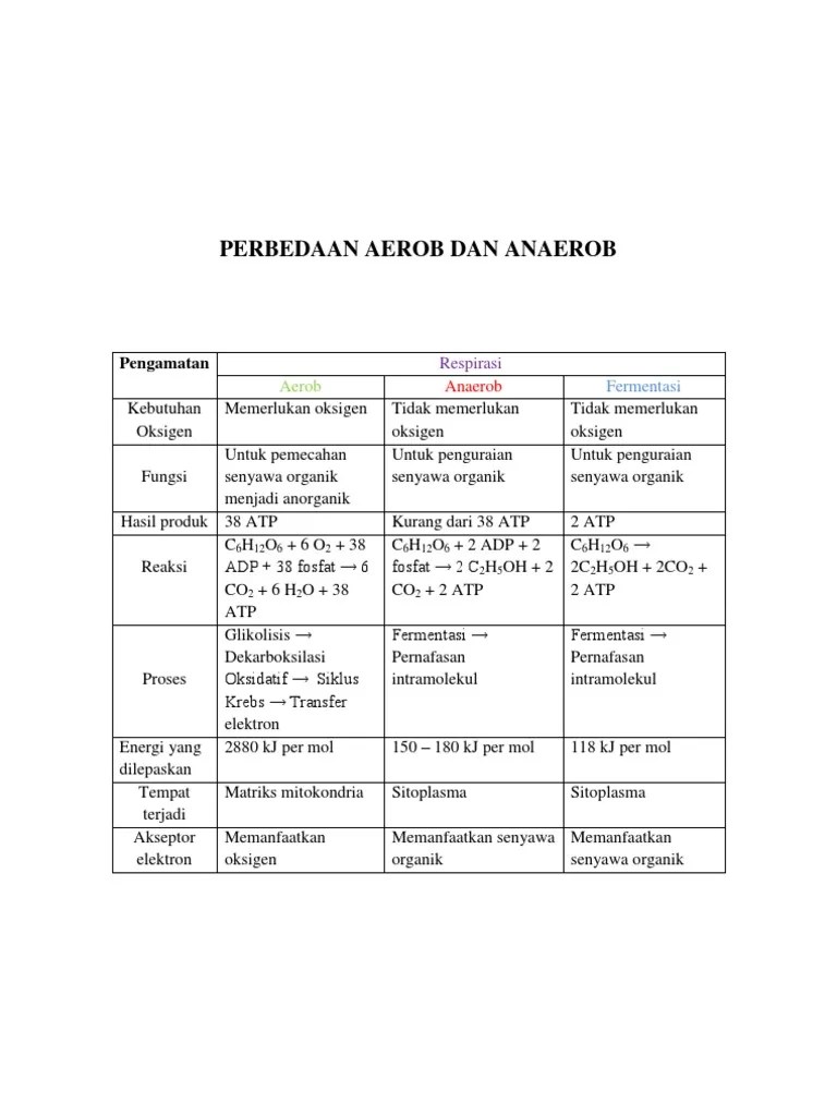 Perbedaan Aerob Dan Anaerob | PDF