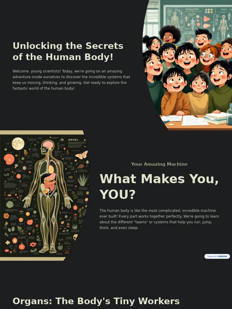Unlocking The Secrets of The Human Body PDF Digestion Muscle