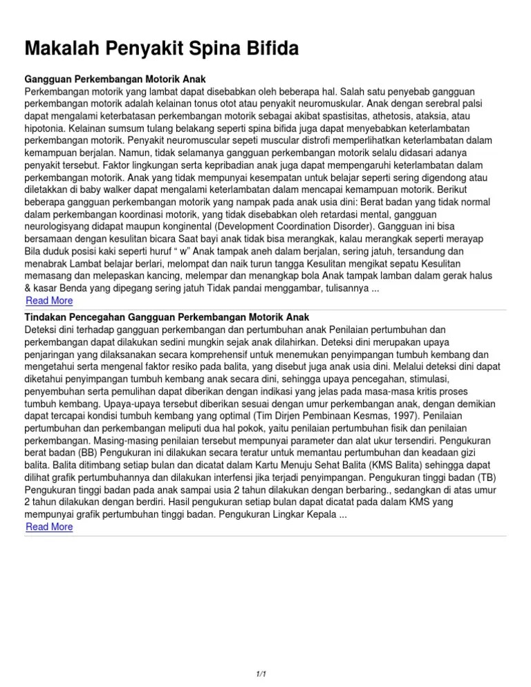 makalahpenyakitspinabifida (1)