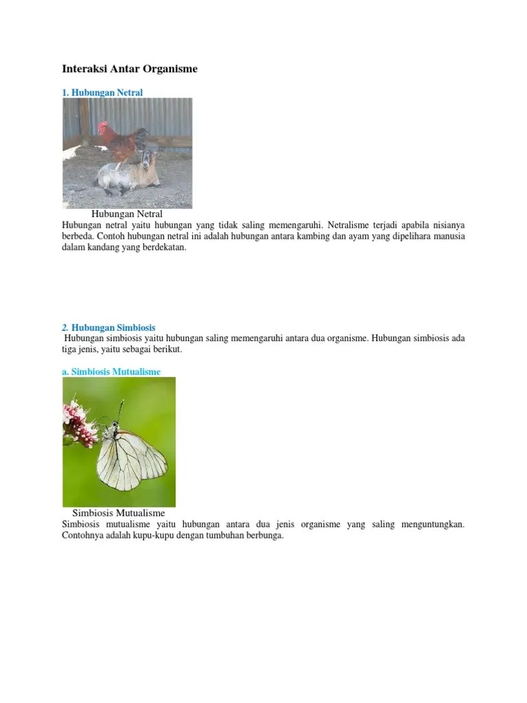 Interaksi Antar Organisme
