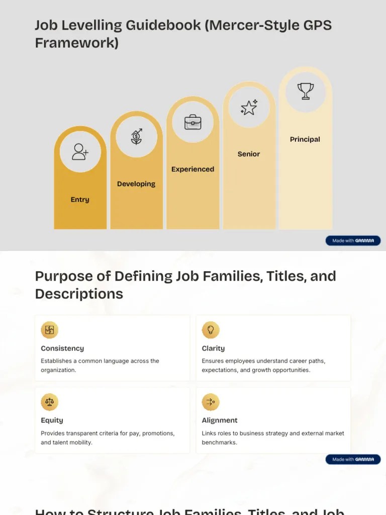 Mercer Job Leveling Framework Guide PDF Business Economies